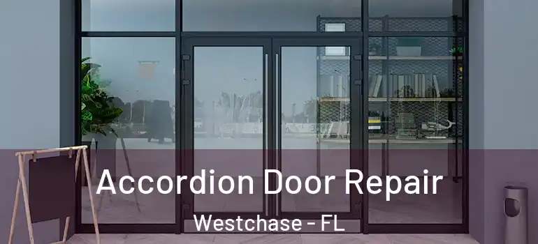 Accordion Door Repair Westchase - FL
