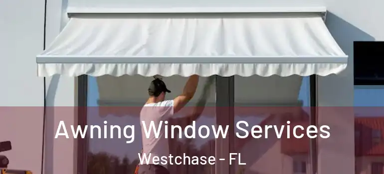 Awning Window Services Westchase - FL