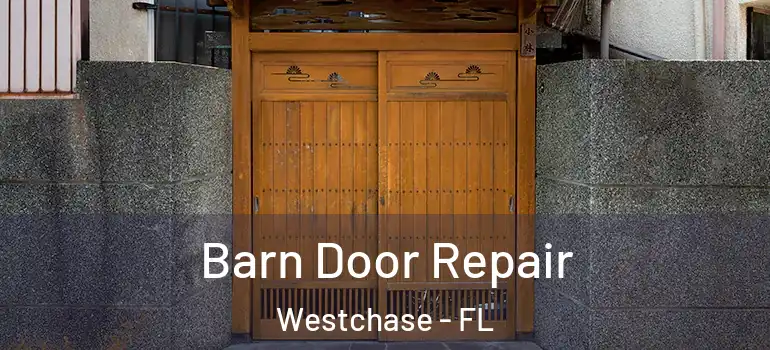 Barn Door Repair Westchase - FL