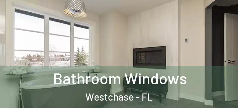  Bathroom Windows Westchase - FL