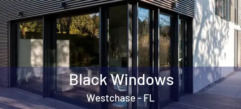 Black Windows Westchase - FL