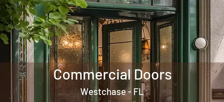 Commercial Doors Westchase - FL