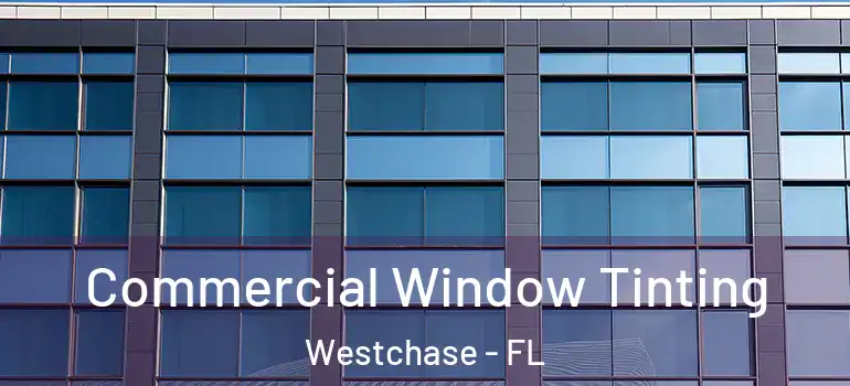 Commercial Window Tinting Westchase - FL