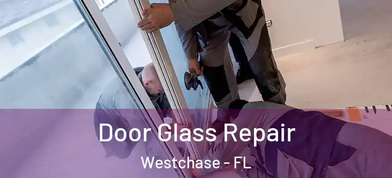 Door Glass Repair Westchase - FL