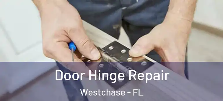 Door Hinge Repair Westchase - FL