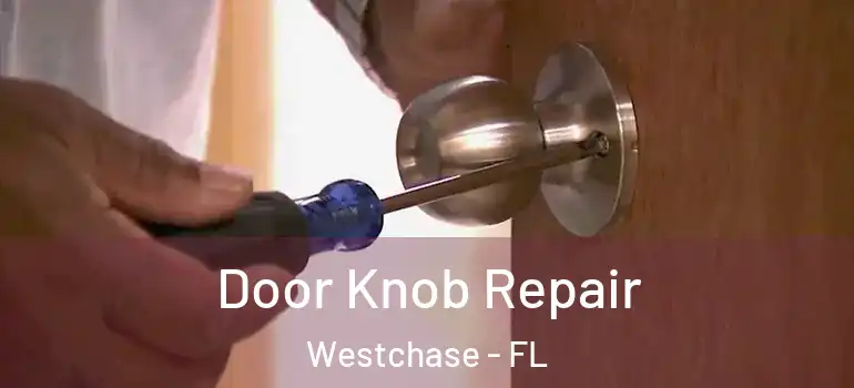 Door Knob Repair Westchase - FL