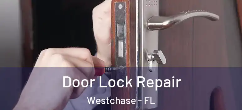 Door Lock Repair Westchase - FL