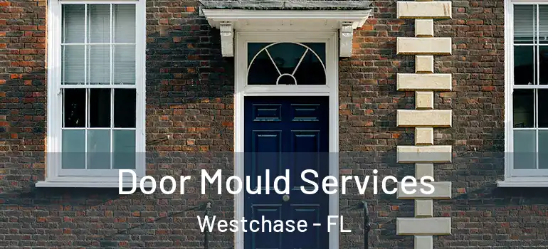 Door Mould Services Westchase - FL
