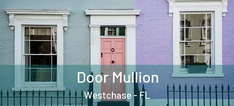 Door Mullion Westchase - FL