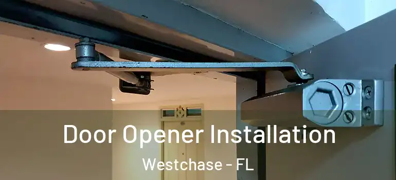 Door Opener Installation Westchase - FL
