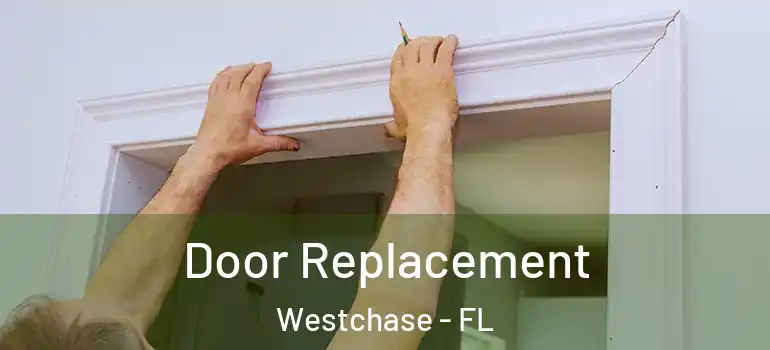 Door Replacement Westchase - FL