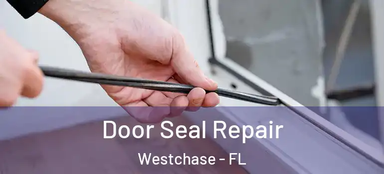 Door Seal Repair Westchase - FL