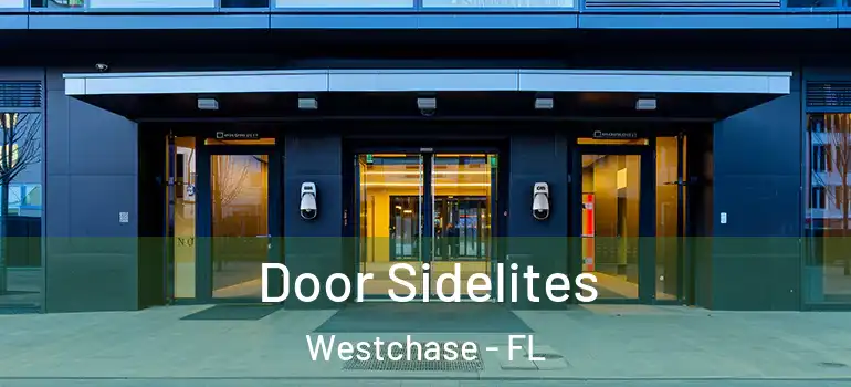 Door Sidelites Westchase - FL