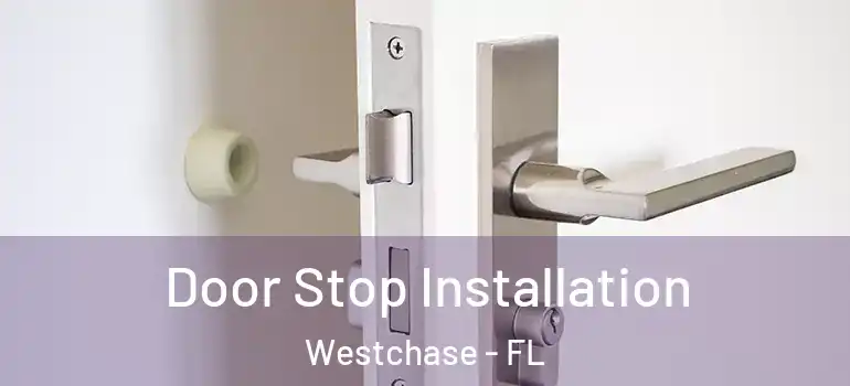 Door Stop Installation Westchase - FL