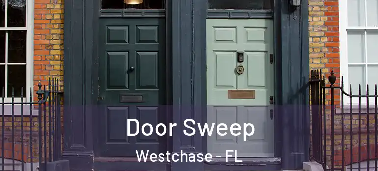 Door Sweep Westchase - FL