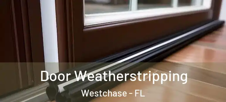 Door Weatherstripping Westchase - FL