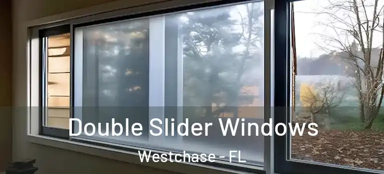 Double Slider Windows Westchase - FL
