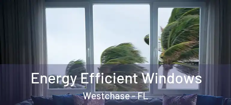  Energy Efficient Windows Westchase - FL