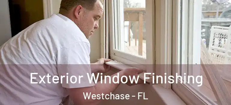 Exterior Window Finishing Westchase - FL