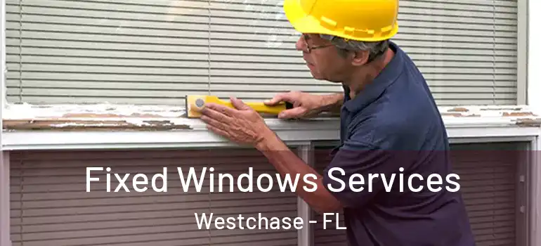 Fixed Windows Services Westchase - FL