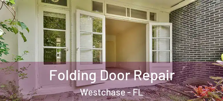 Folding Door Repair Westchase - FL