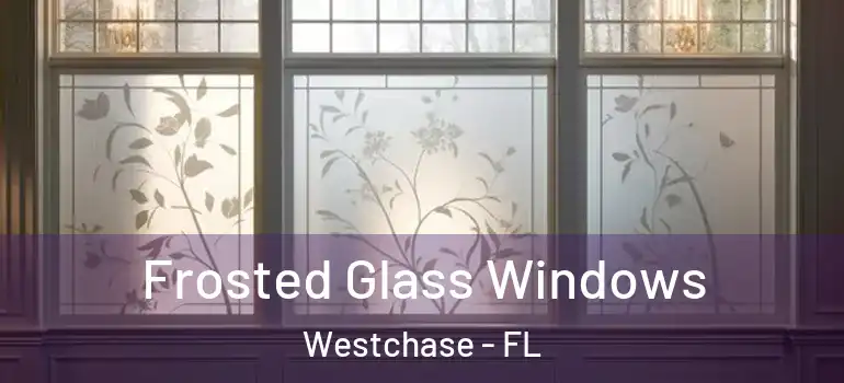 Frosted Glass Windows Westchase - FL