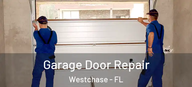 Garage Door Repair Westchase - FL