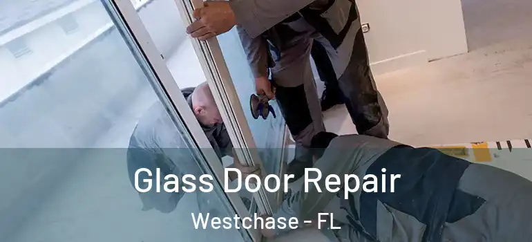 Glass Door Repair Westchase - FL