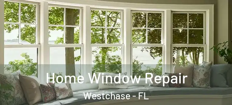 Home Window Repair Westchase - FL