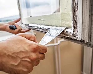 Professional Door and Windows Installation in Westchase, FL