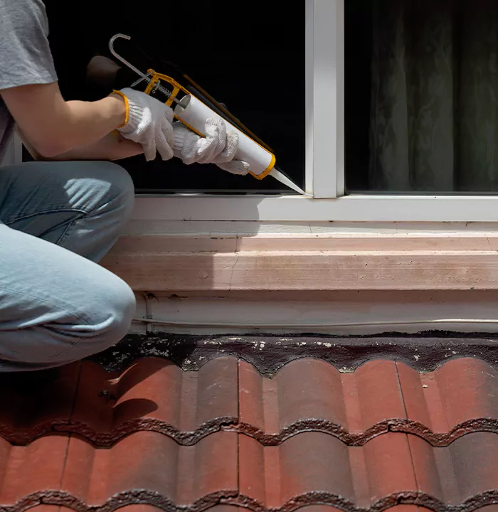 Roof Window Services in Westchase, Florida
