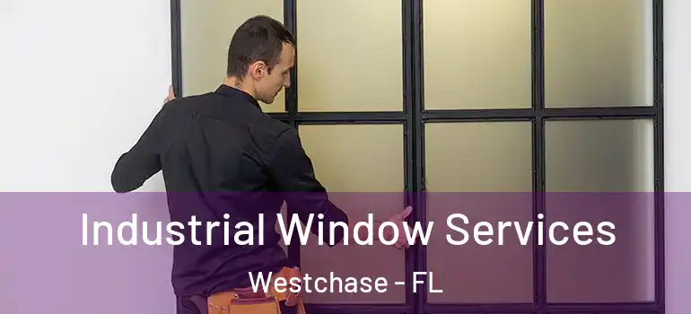 Industrial Window Services Westchase - FL