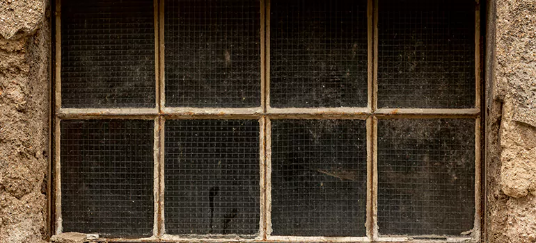 Traditional Double Front Doors in Westchase, FL