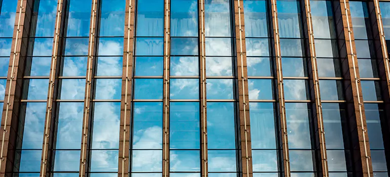 Professional Window Tinting Services in Westchase, FL