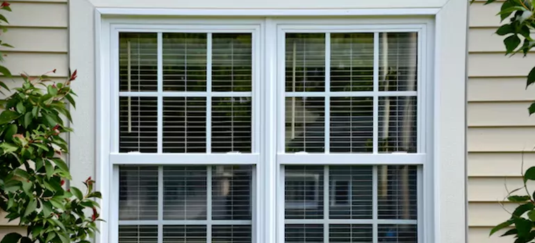 Custom Double Hung Windows in Westchase, FL