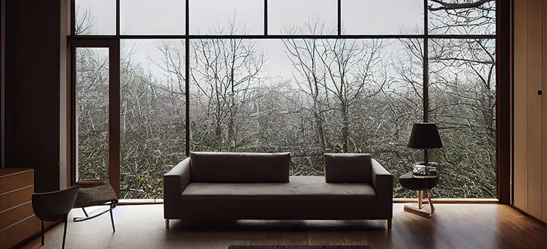 Casement Picture Window in Westchase, FL