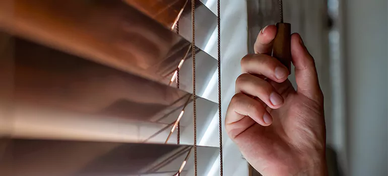 Double Roller Blinds in Westchase, FL