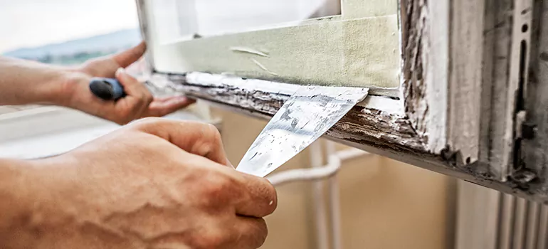 Exterior Window Frame Repair in Westchase, FL