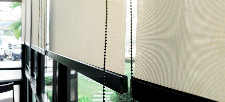 Blackout Window Shades in Westchase, FL