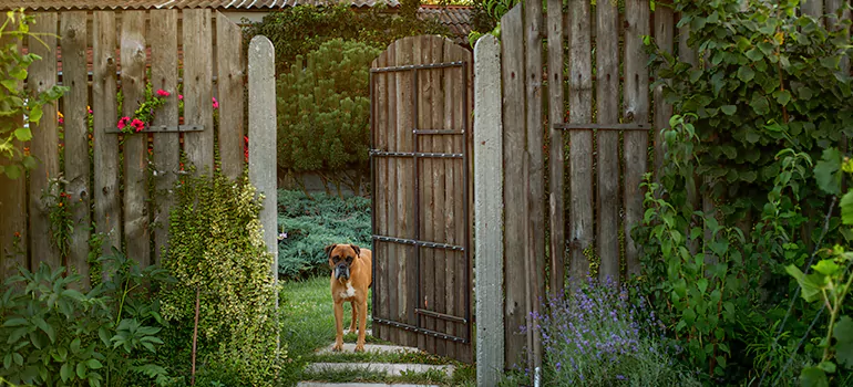 Winter Garden Garage Door Repair in Westchase,[location field=state]
