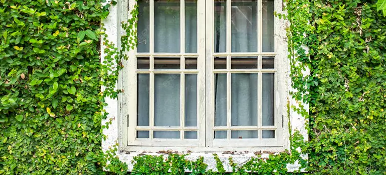 Garden Window Repair Near Me in Westchase, FL