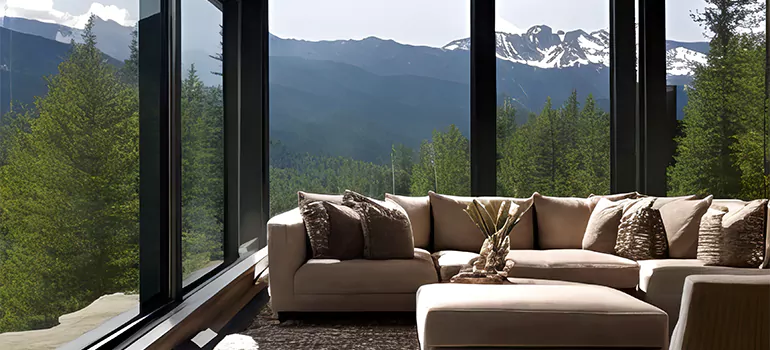 Picture Window Maintenance in Westchase, FL