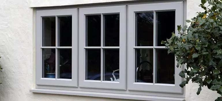 Stormproof Windows With Tinted Glass Services in Westchase, FL
