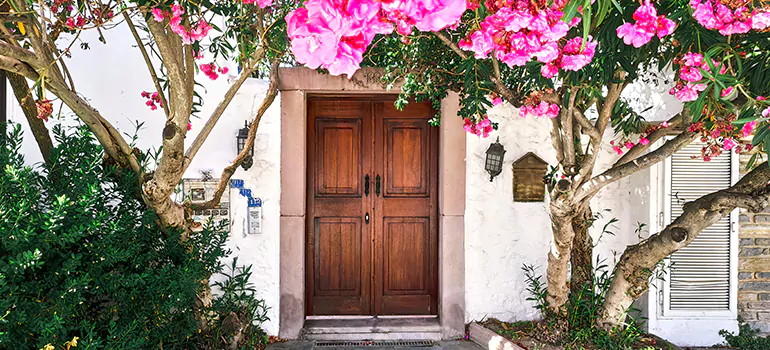 Traditional 4 Panel Internal Doors in Westchase, FL