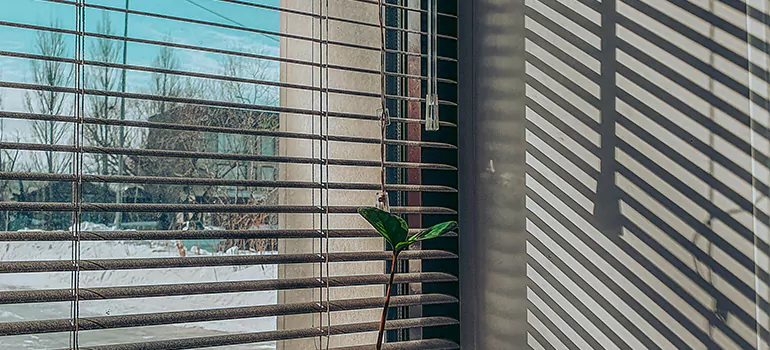 Commercial Window Blinds in Westchase, FL