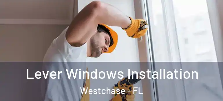 Lever Windows Installation Westchase - FL