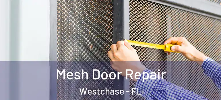 Mesh Door Repair Westchase - FL