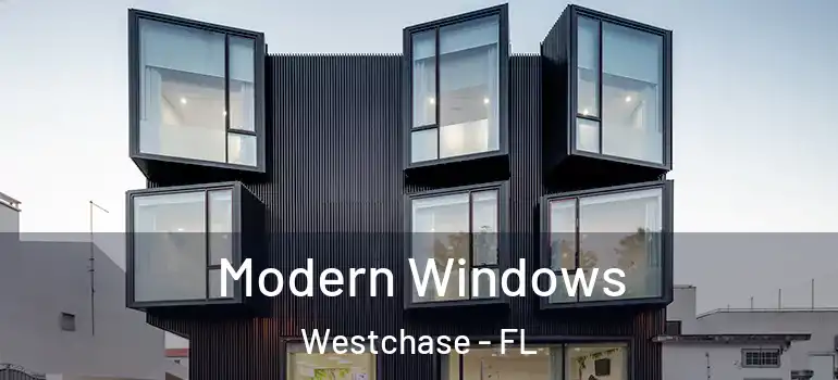 Modern Windows Westchase - FL