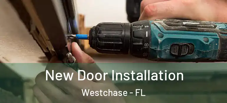New Door Installation Westchase - FL