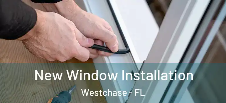  New Window Installation Westchase - FL